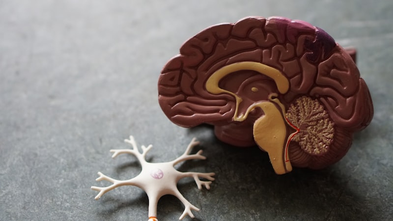Ressonância magnética do cérebro para diagnóstico neurológico